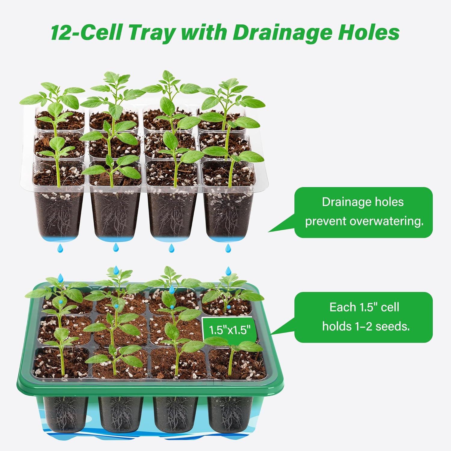 6/12 Grids Growing Starting Nu - Dome Propagation Kit ulasan dan harga