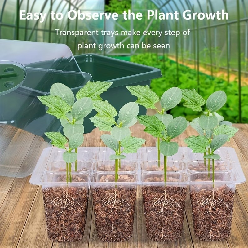 3pcs Seed Starter Tray Mini Gr - Dome Propagation Kit ulasan dan harga