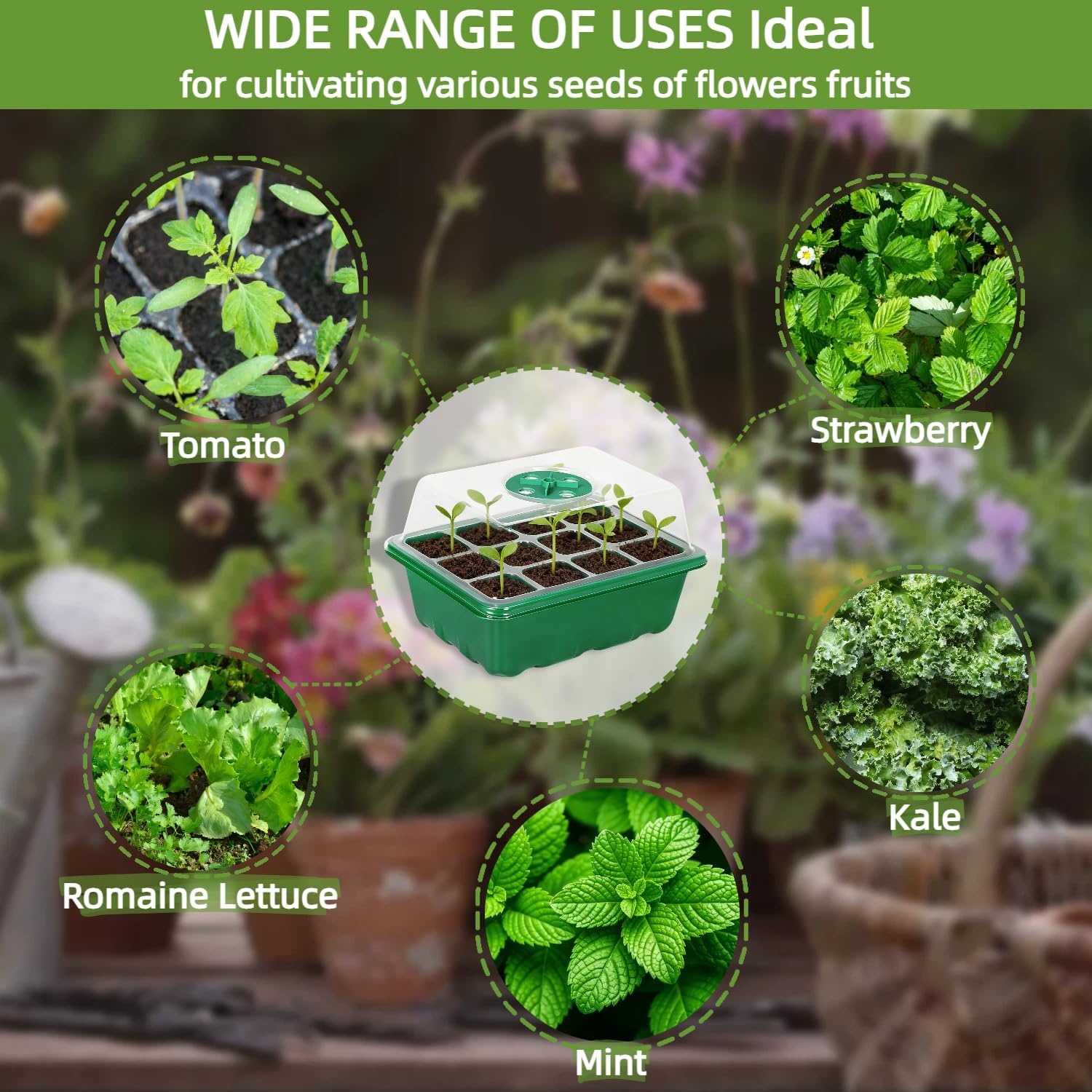 10Pcs Seed Starter Tray Mini G - Dome Propagation Kit ulasan dan harga