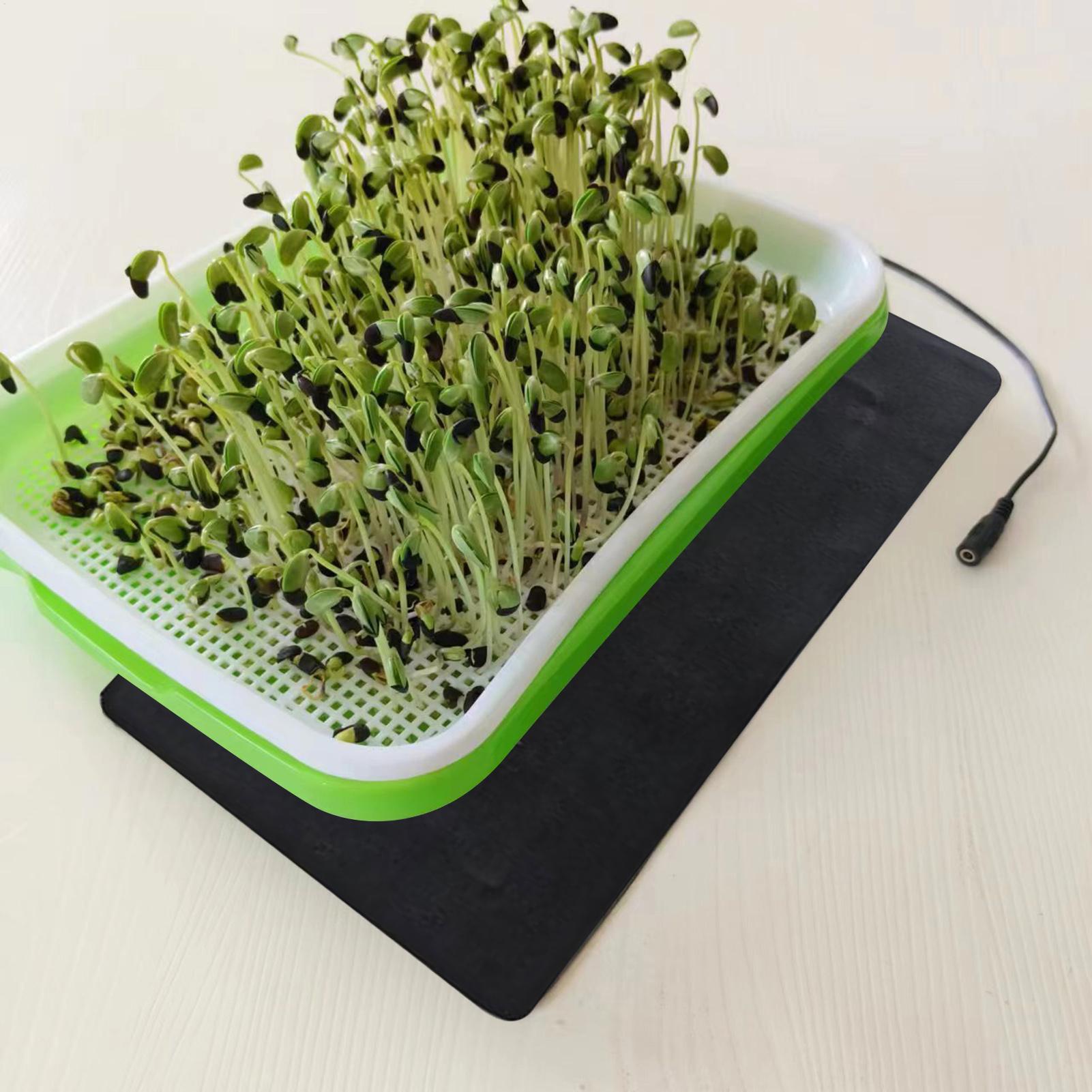 8.5W Seedling Heat Mat 5V 2A P - Seedling Heat Pad ulasan dan harga