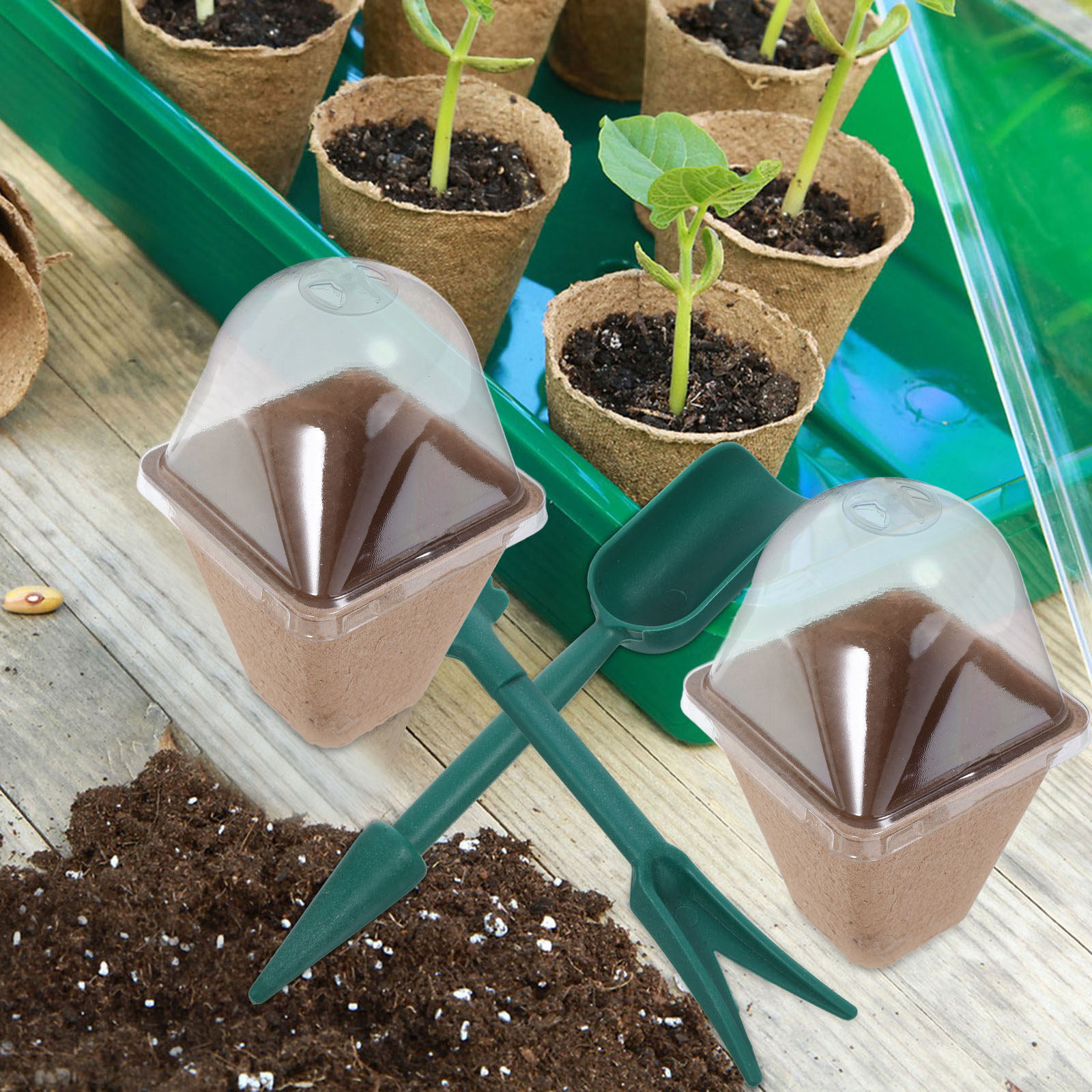 10Pcs Sustainable Seedling Sta - Dome Propagation Kit ulasan dan harga