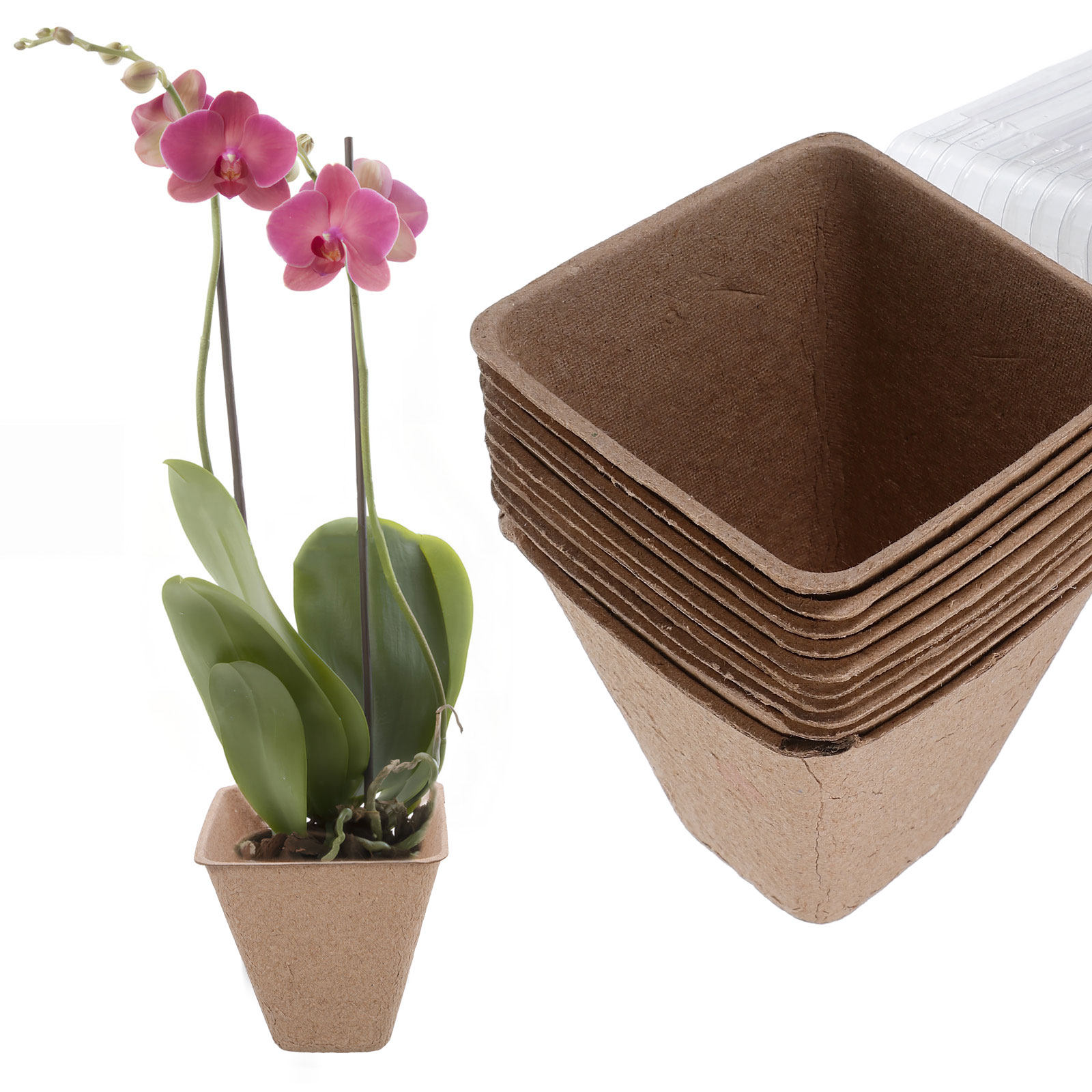10Pcs Sustainable Seedling Sta - Dome Propagation Kit ulasan dan harga