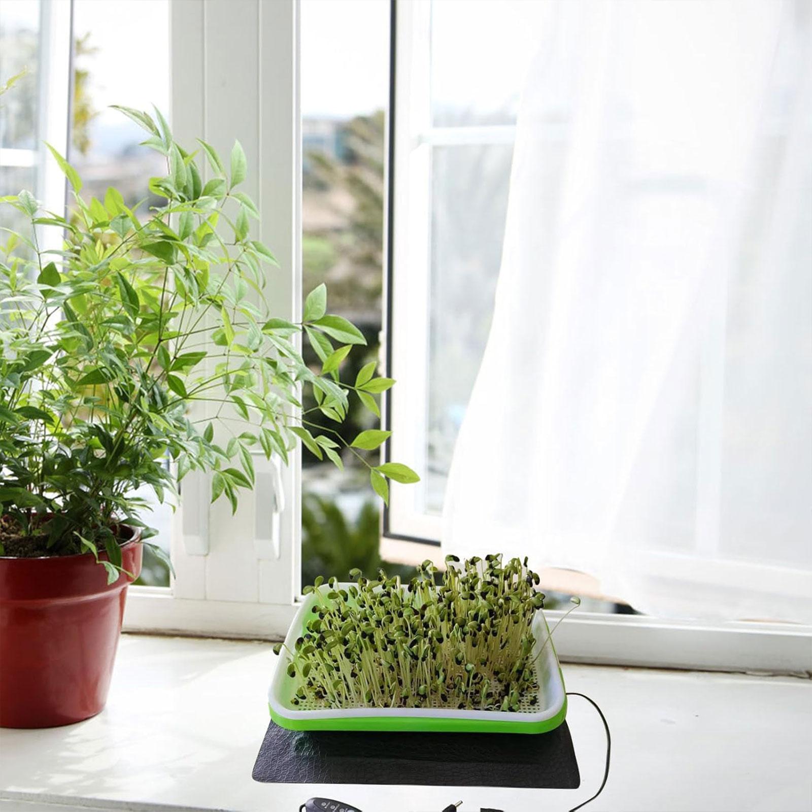 Hydroponic Heat Mat for Seedli - Seedling Heat Pad ulasan dan harga