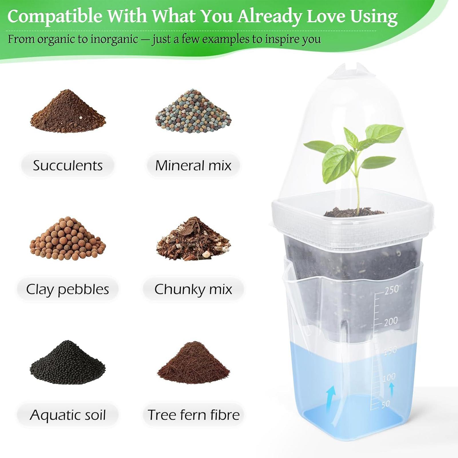 Self Watering Pots 12Pcs Seed  - Dome Propagation Kit ulasan dan harga