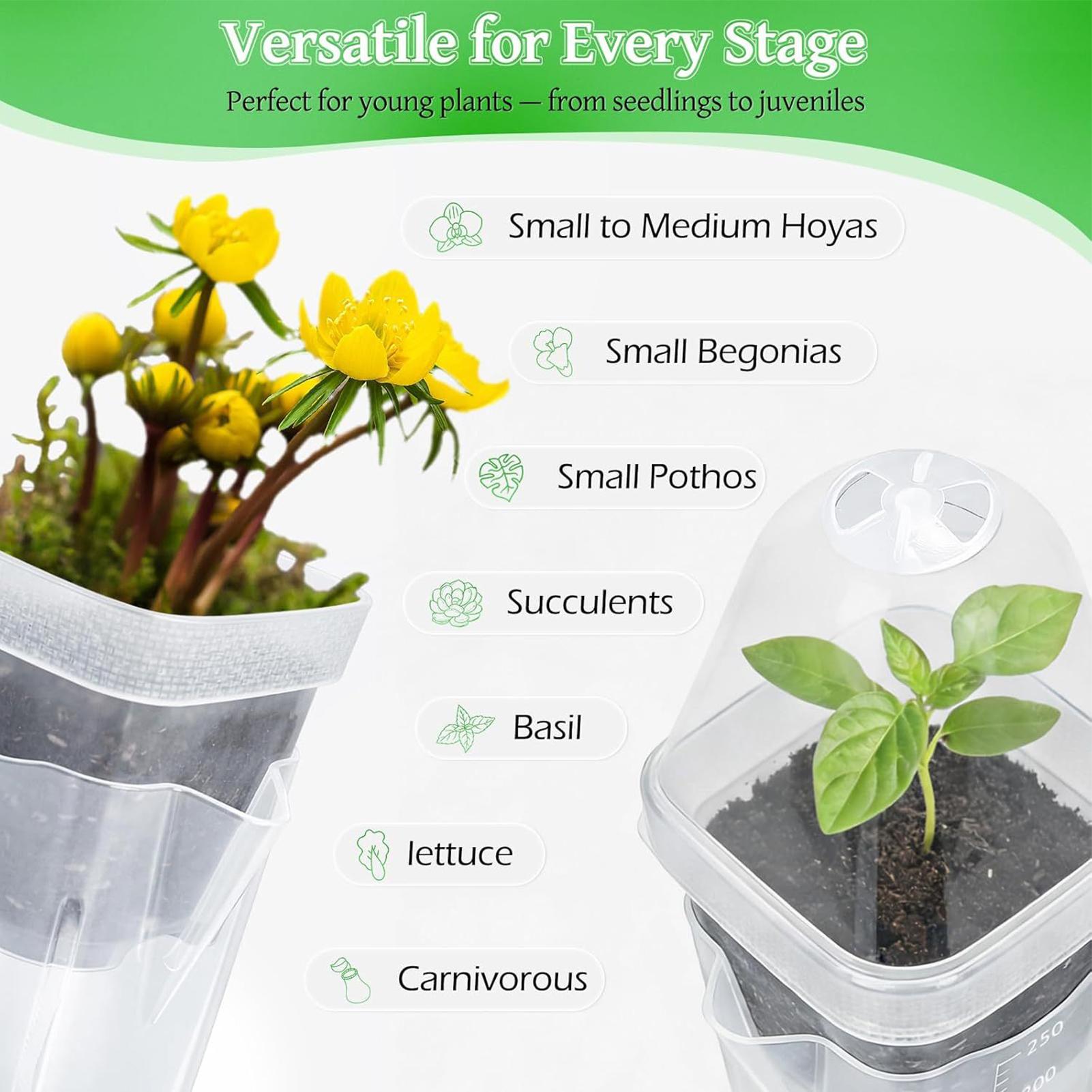 Self Watering Pots 12Pcs Seed  - Dome Propagation Kit ulasan dan harga