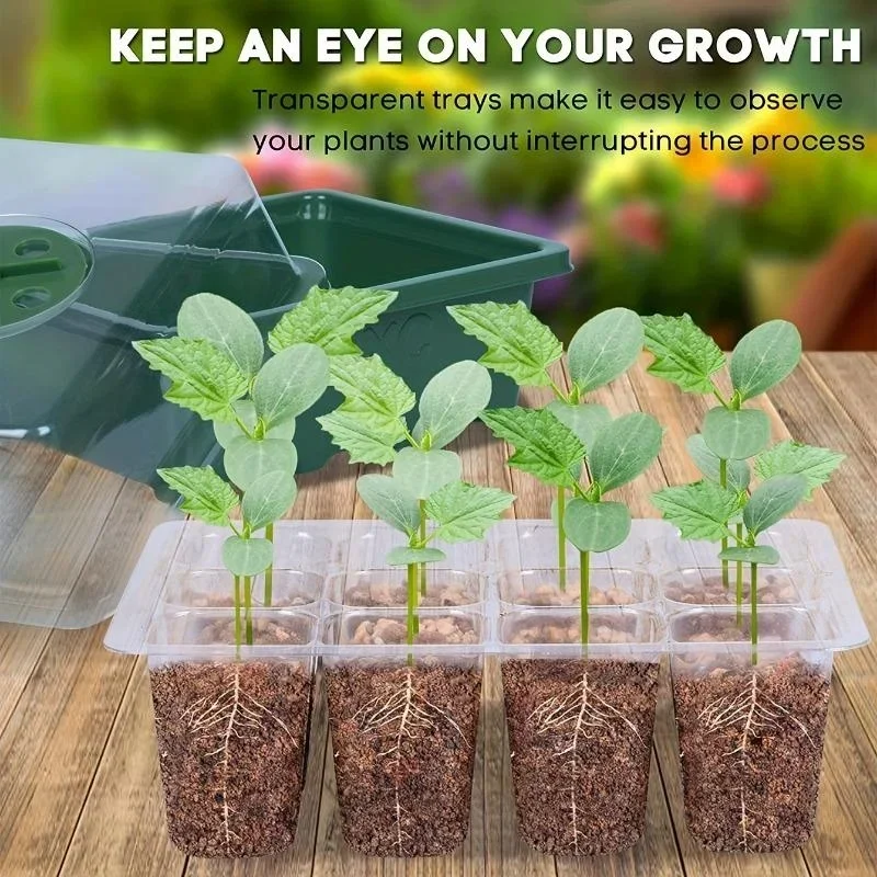 12Grids Seedling Trays Seed St - Dome Propagation Kit ulasan dan harga